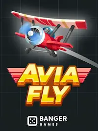 Avia Fly crash at 9A999C COM